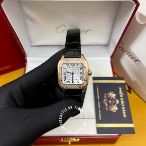 cartier santos