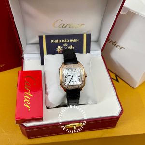 Đồng hồ Cartier Santos WGSA0011 Large Diamond Encrusted - Hình ảnh 2