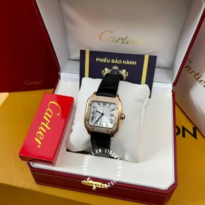 Đồng hồ Cartier Santos WGSA0011 Large Diamond Encrusted - Hình ảnh 3
