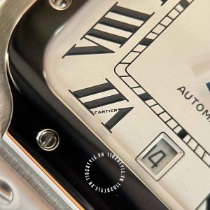 Đồng hồ Cartier Fake Santos Silvered Opaline Dial WSSA0018 - Hình ảnh 13