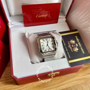 Đồng hồ Cartier Fake Santos Silvered Opaline Dial WSSA0018 - Hình ảnh 5