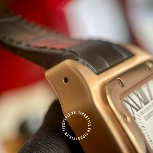 Đồng hồ nữ Cartier Santos WGSA0012 Midsize Rose Gold - Ảnh 17