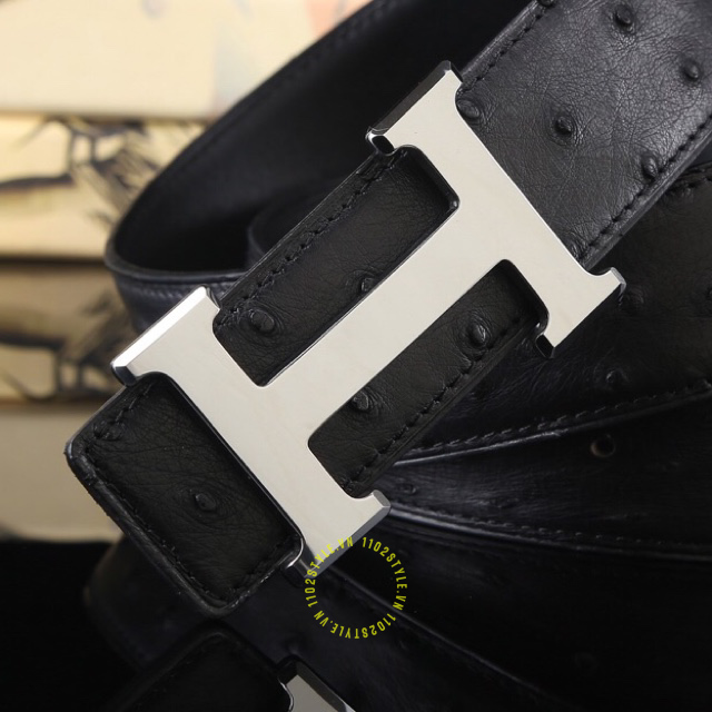 Giới thiệu sơ về Hermes
