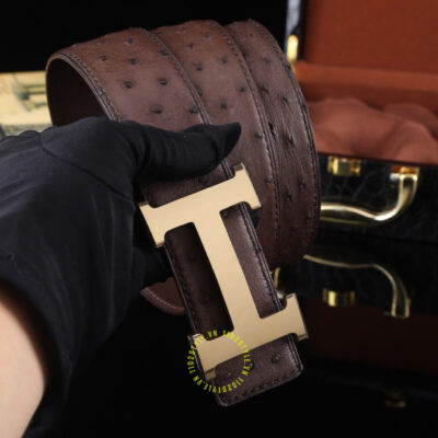 Giới thiệu sơ về Hermes