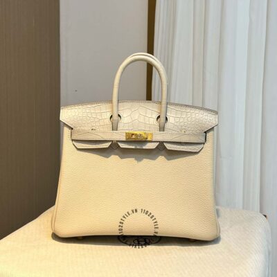 Túi Hermes Birkin
