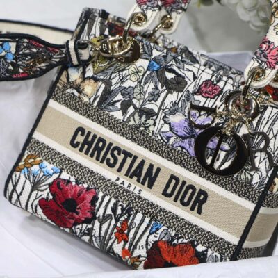 túi xách hàng hiệu dior