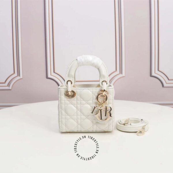 túi xách hàng hiệu dior