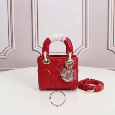 túi xách hàng hiệu dior