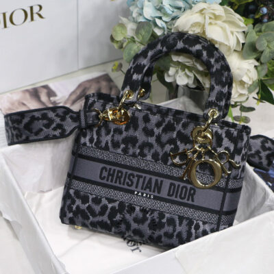 túi xách hàng hiệu dior
