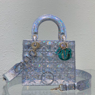 túi xách nữ hàng hiệu dior