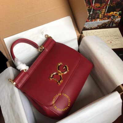 túi xách dolce & gabbana