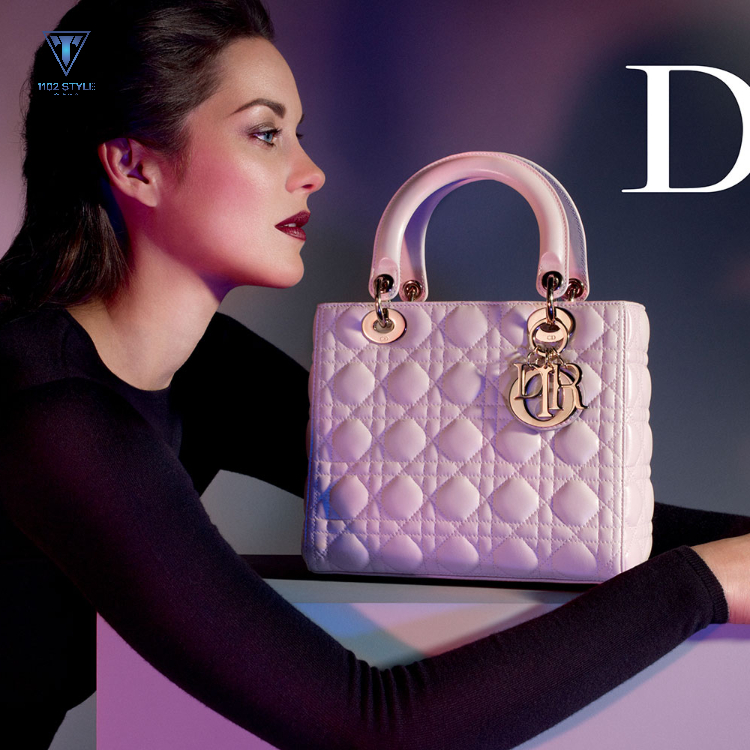 Giới thiệu về thương hiệu Dior