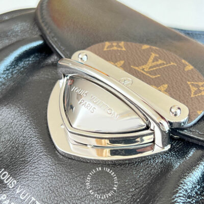 Tui Du Lich Louis Vuitton (3)