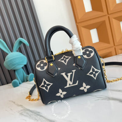 Tui Trong Louis Vuitton (1)