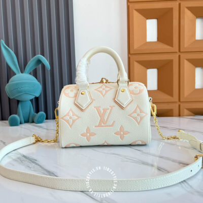 Tui Trong Louis Vuitton (1)