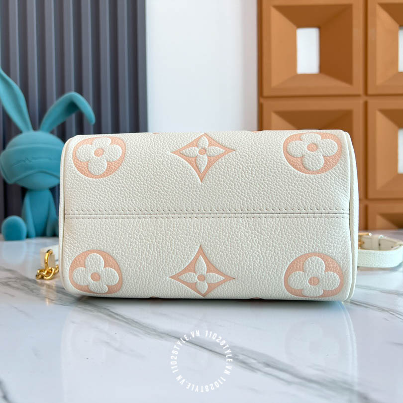 Tui Trong Louis Vuitton (2)