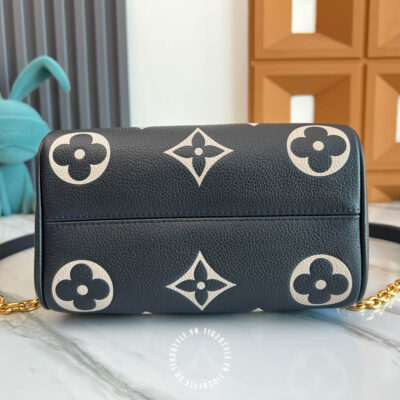 Tui Trong Louis Vuitton (3)