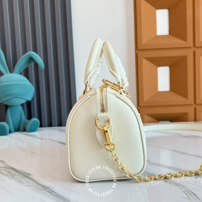 Tui Trong Louis Vuitton (4)