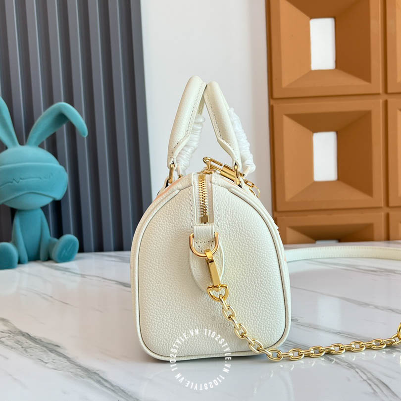 Tui Trong Louis Vuitton (4)