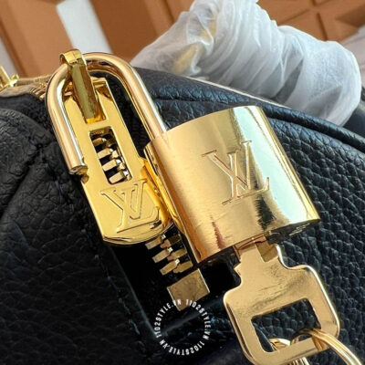 Tui Trong Louis Vuitton (5)
