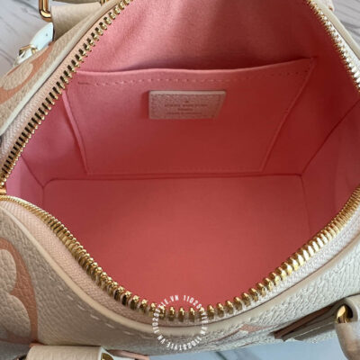 Tui Trong Louis Vuitton (6)