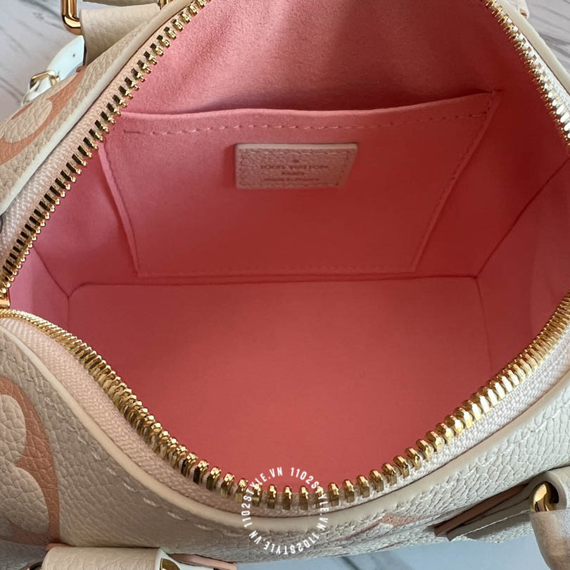 Tui Trong Louis Vuitton (6)