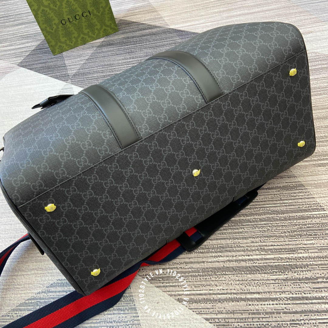 Tui Xach Gucci Marmont (2)