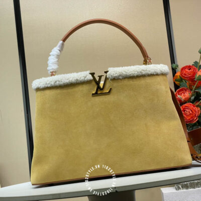 Tui Xach Nam Louis Vuitton (1)